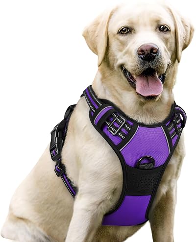 rabbitgoo Dog Harness Large No Pull Reflective Adjustable Purple L