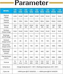 Weize 12V 100Ah LiFePO4 Lithium Battery, Built-in
