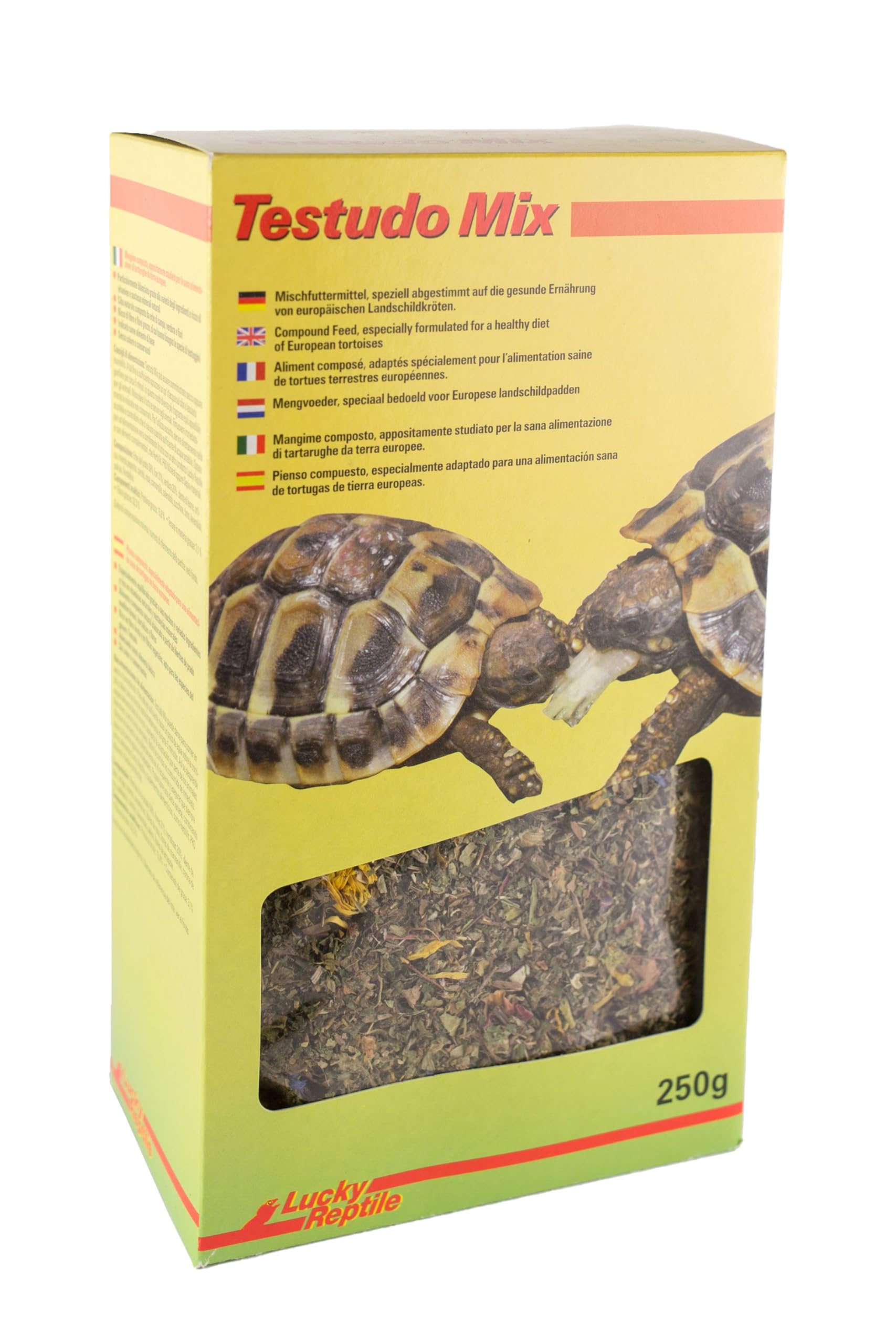 Lucky Reptile Testudo Mix