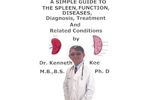 A Simple Guide To The Spleen, Functions, Diseases, Diagnosis, Treatment And Related Conditions