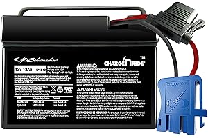 Schumacher Electric 12V Battery for Ride on Toys - TB4 12V 12 Amp Hours with Replaceable Fuse - Rechargeable 12V Ride On Replacement Battery for Peg Perego Vehicles - Safe & Easy to Use