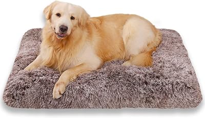 Jaspuriea Medium Dog Bed 75x50x7cm Calming Plush Mattress Anti-Slip Bottom