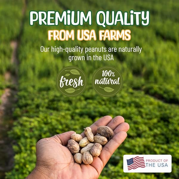 SNEAKY MANGO – RAW PEANUTS IN SHELL – 10 POUNDS – ALL-NATURAL FOOD FOR SQUIRRELS, DEER, BIRDS, AND OTHER WILDLIFE ANIMALS – GROWN IN THE USA FOR HEALTHY NUTRITION