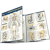 Anatomy of Joints &amp; Ligaments: a QuickStudy Laminated Reference Guide