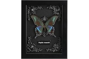 WTUAWB Real Framed Butterfly Taxidermy - Shadow Box, Real Framed Butterfly in a Box for Gothic Home Decor Aesthetic (B_Alpine Black Swallowtail Black Background #1)