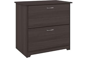 BUSH BUSINESS FURNITURE Bush Furniture Cabot 2 Drawer Lateral File Cabinet in Heather Gray, Home Office Chest for Letter, Legal, and A4-size Document Storage