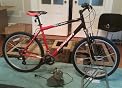 Mountain Bike (26-Inch Wheels 