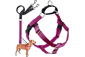 2 Hounds Design Freedom No Pull Dog Harness, Adjustable Harness and Leash Set, Easy Walking & Comfortable Control, Fits Small, Medium & Large Dogs, Solid Colors, Made in USA, 1" LG, Raspberry