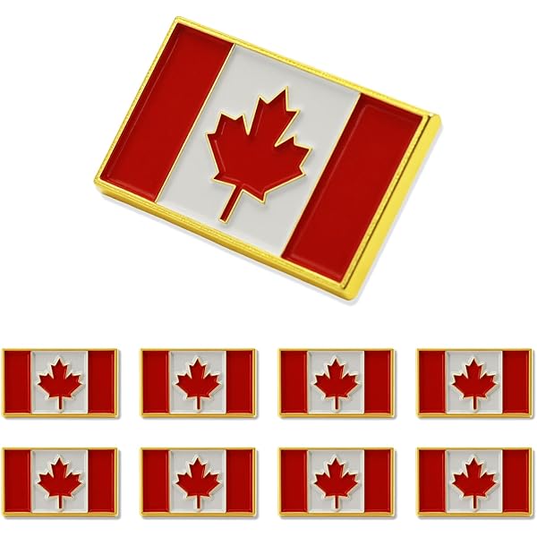 Amerikaanse En Canadese Vlaggen Bij De Canadees-Amerikaanse Grens Stock