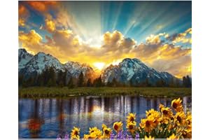 Natuyalo Paint by Numbers for Adults - DIY Adult Paint by Number Kits Painting Sunrise Landscape Painting by Numbers for Beginners, Grand Teton National Park Art Craft Kits for Adults (16x20 Inch)