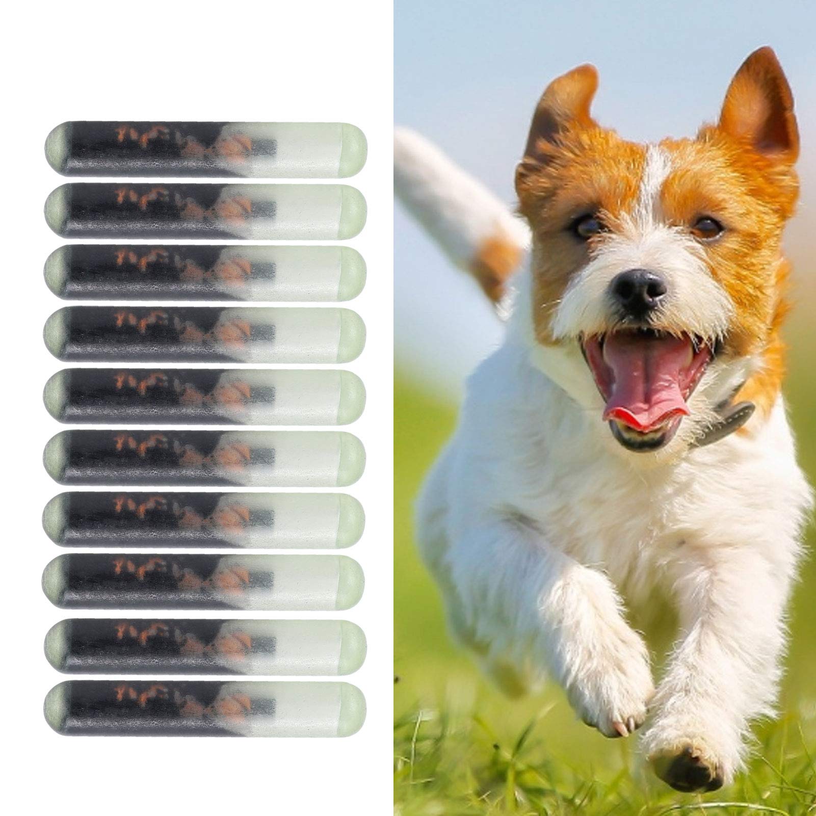 10Pcs/Set Dogs ID Microchip,2.12MM Glass Pet Microchip Standard Animal Chip Implants for Identification