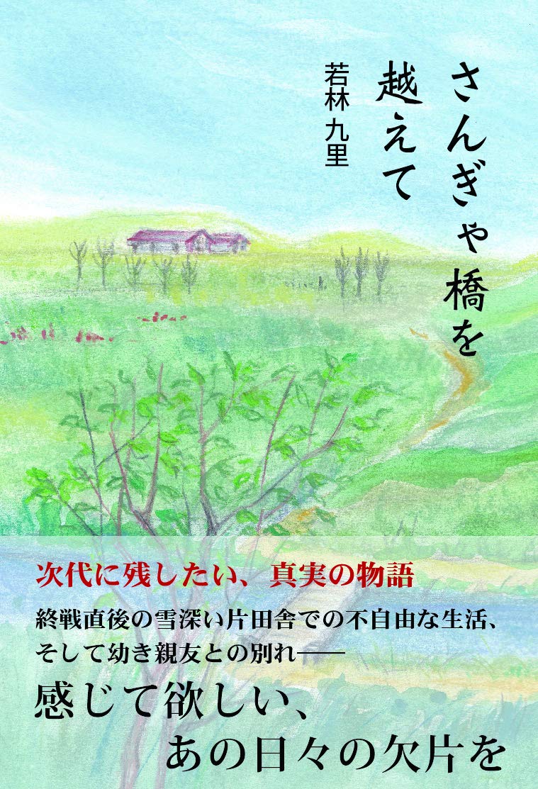 Amazon Fr さんぎゃ橋を越えて Livres