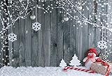 FiVan Wood and Snowman Design Photo Backdrop For