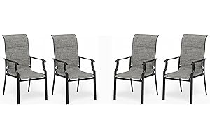 HERA'S HOUSE Premium Patio Dining Chair of 2, Rust Resistant Outdoor Chair with Textilene Padded Seat, Supports up to 350lbs with Comfort and Durability for Lawn Kitchen Garden Backyard