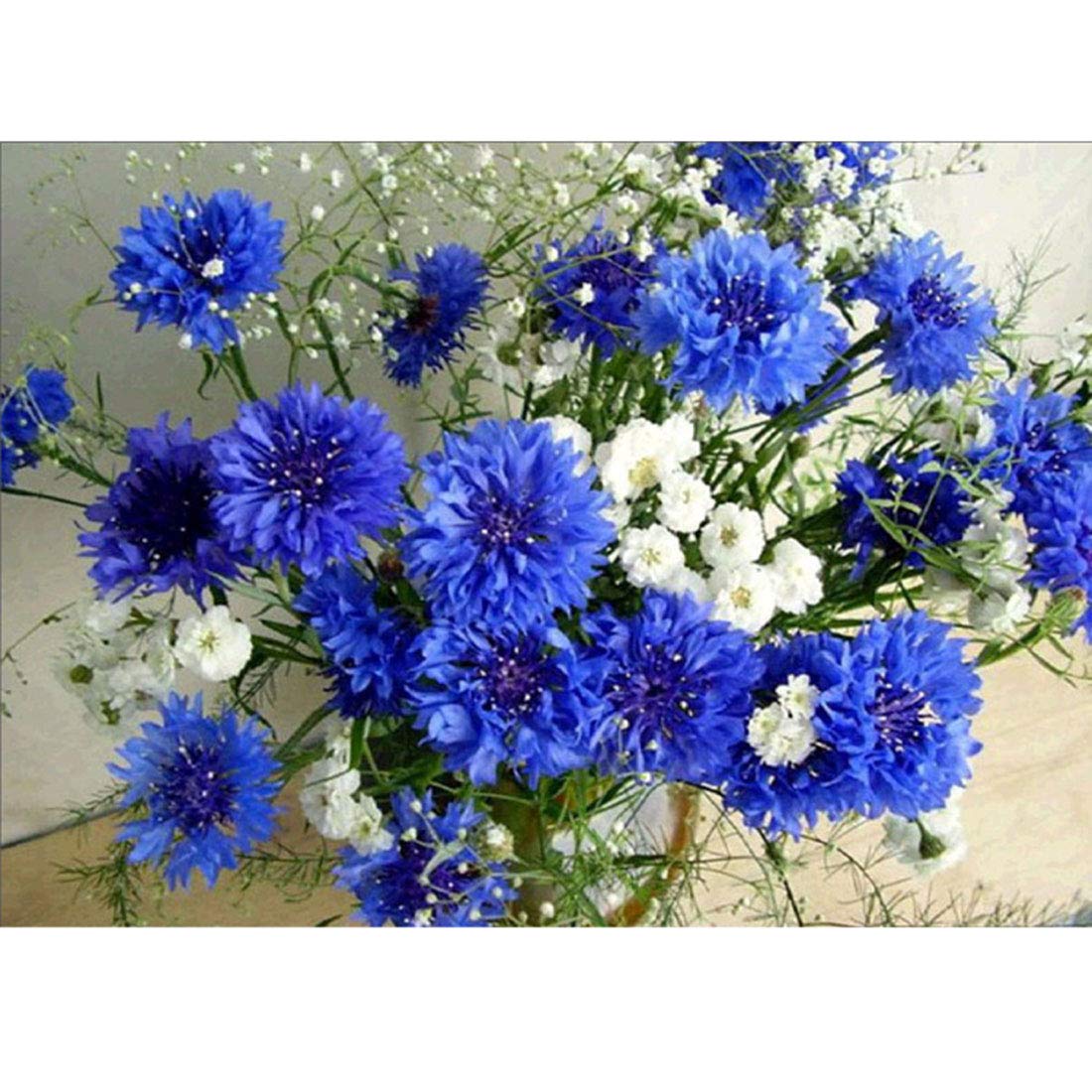 DIY 5D Full Drill Diamond Painting by Kits Arts Craft Canvas Paint with Diamonds Crystal Rhinestone Embroidery Painting for Home Wall Decor (40 x 30 cm)