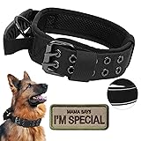 Tactical Dog Collar with Handle - Military