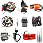 PRO BAT Complete Wiring Harness Kit with CG 8-Coil Stator AC CDI | 4-Wire Rectifier for 150cc 200cc 250cc Chinese ATV Go Kart Quad 4-Wheeler Dirt Bike Electric Start Engine Lifan YX Zongshen