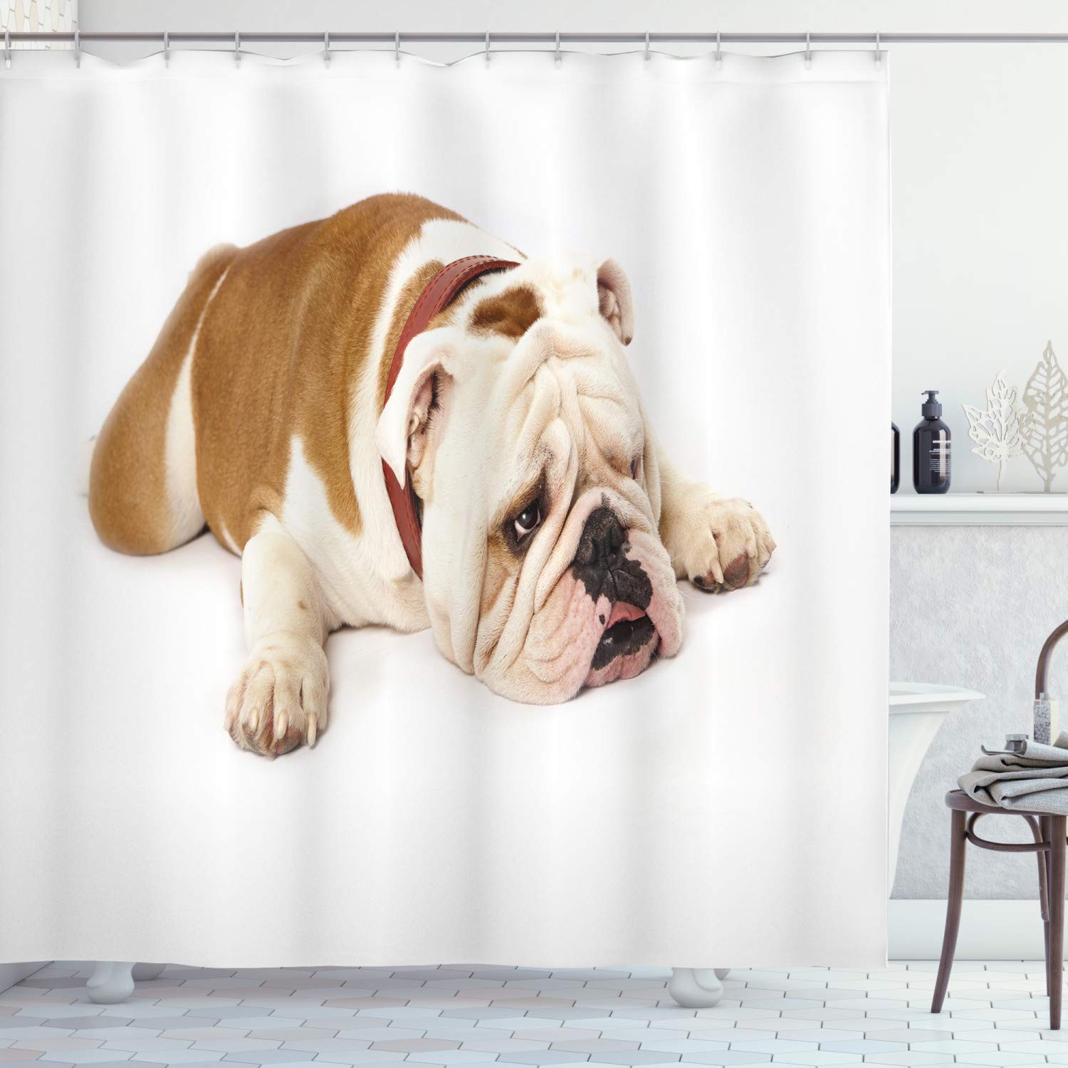ABAKUHAUS English Bulldog Shower Curtain, Sad and Tired Bulldog Laying down European Pure Breed Animal Photography, Cloth Fabric Bathroom Decor Set with Hooks, 78 Inches, Cream Brown — image 1