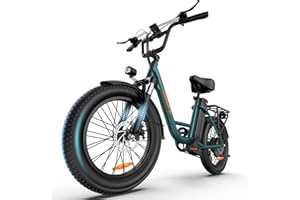URLIFE Electric Bike for Adults, 1000W Peak Motor Ebike, 48V 13Ah Removable Battery,80 Miles Max, 20" Fat Tire Electric Bicycle with Colorful Display, All-Terrain E-Bike for Adults and Teens