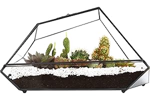 LumenCraft Large Tall Plant Terrarium Kit - 13"x5.5"x7.2" Glass Terrariums for Plants with Lid,Indoor Tabletop Geometric Container for Orchid Succulents Cacti,Home Garden Office Decor Gifts(Black)