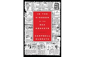 In the Kingdom of the Sea Monkeys: Poems