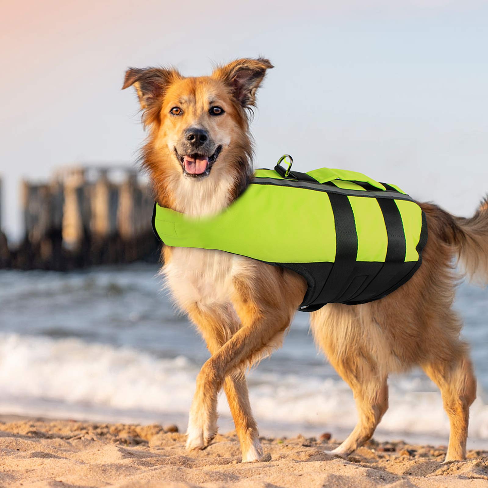 PETLESO Dog Life Jacket High Visibility Floatation Pet Life Vest with Handle(Green) - L