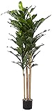 Nearly Natural 5ft. Dracaena Plant UV Resistant