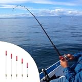 Siliget 20 Pcs Fishing Floats Set 5 Sizes Waggler Coarse Tackle Stillwater view 7