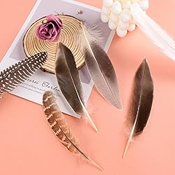 MehelloFeather Natural Pheasant Feathers 12Pcs Bulk