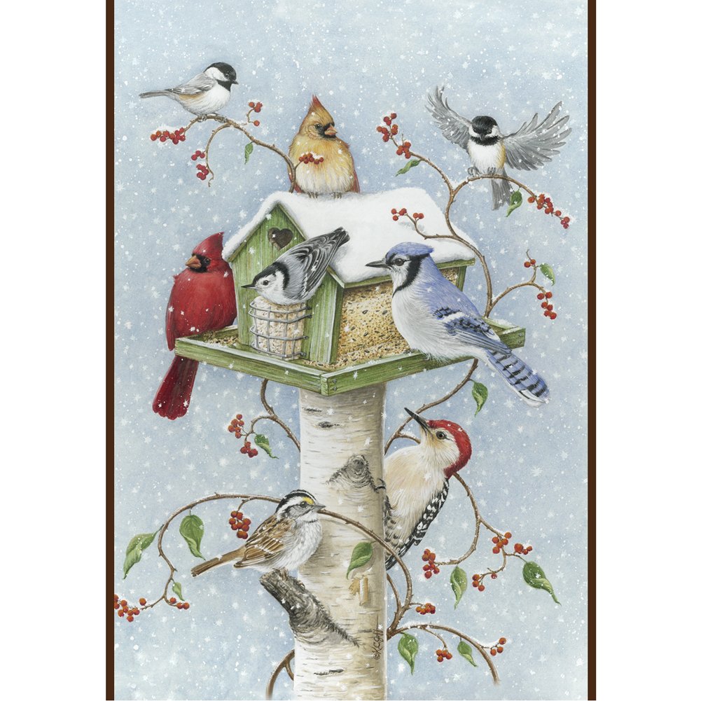 Toland Home Garden Winter Birds 28 x 40-Inch Decorative USA-Produced House Flag