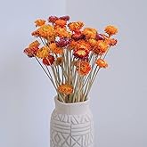 Natural Dried Straw Flower Bouquet, 20 pcs, Fall Color Daisies for Vase, Rustic Orange Yellow