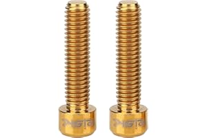 Adfaga Risk 2Pcs Titanium Alloy M6 X 25mm Disc Brake Screw Bolts High Strength Resistant Bicycle Brake Caliper Mounting Hardw
