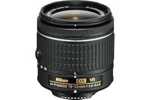 NIKON AF-P DX NIKKOR 18-55mm f/3.5-5.6G VR Lens
