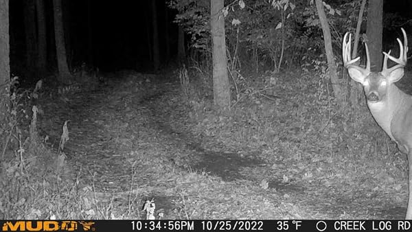 MUDDY MITIGATOR CELLULAR 24MP IMAGING TRAIL CAMERA WITH 80 FEET DETECTION AND FLASH RANGE AND 0.7-SECOND TRIGGER SPEED