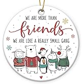 Funny Friends Ornament - Friendship Christmas Ornament 2025, Cute BFF Bestie Birthday Gifts for Women, Men, Appreciation Gift for Friends, Hanging Decor for Christmas Tree Decorations