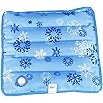 Ice Cushion Cool Ice Pillows Cushion,Water Filling Ice Cushion Chair Pad, Water Filling Ice Cushion Chair Pad,Pet Cushion,Summer Ice Pad,Beaches Cushion,Car Cushion,Office Cushion (14.17 x 14.17")