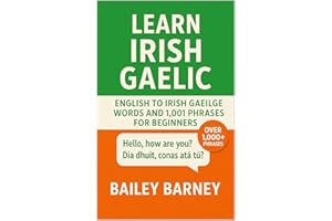 Learn Irish Gaelic: English to Irish Gaeilge Words and 1,001 Phrases for Beginners