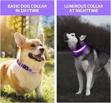 PcEoTllar Light Up Dog Collar Rechargeable 7 Colors 9 Modes Purple view 3