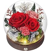 SUOSIHUALI Forever Rose Birthday Gift for Her – Preserved Roses in Glass Dome with LED, Eternal Flowers for Wife, Girlfriend, Mom – Deep Red