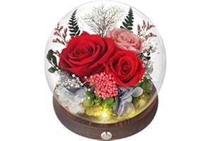 Forever Rose Birthday Gifts for Women, Eternal Flowers for Delivery Prime, Preserved Red Rose Flowers in Glass Dome for Mom G