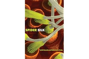 Spider Silk: Evolution and 400 Million Years of Spinning, Waiting, Snagging, and Mating