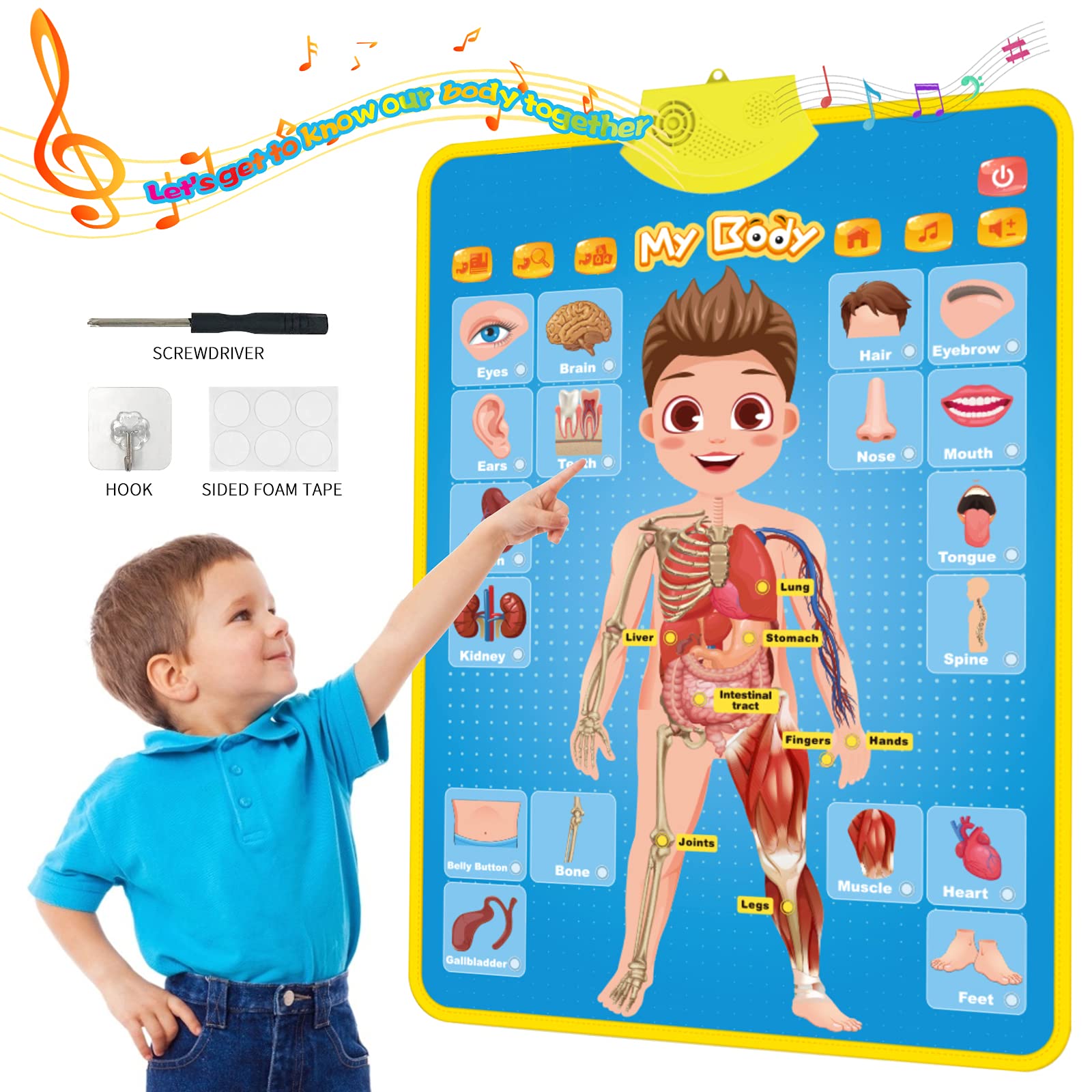 Mua My Body Interactive Educational Poster for Toddlers and Kids to