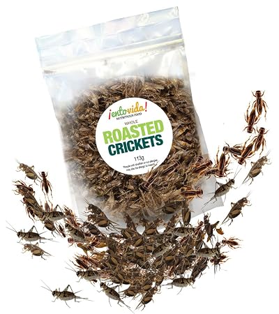 crickets