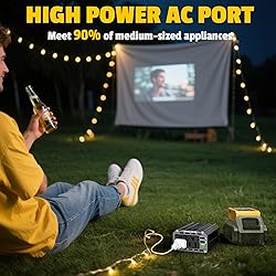 2PCS 300W Battery Charger Compatible with