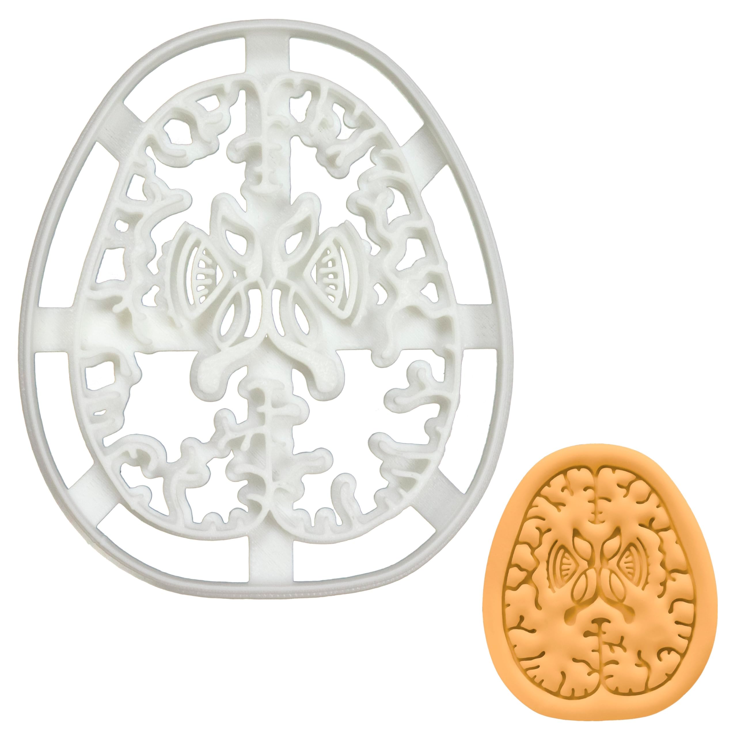 BAKERLOGY Brain Axial Section Cookie Cutter - Detailed Biscuit Cutter Design for Baking and Crafts, Ideal on Fondant, Dough, Clay