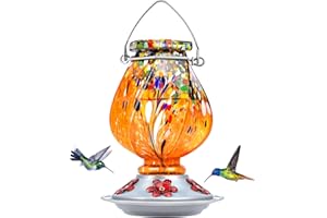 BOLITE Hummingbird Feeder, 18058O Hand Blown Glass Hummingbird Feeders for Outdoors Hanging, 22 Ounce, 5 Feeding Ports with Perch, Orange
