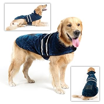 manteau chien moyen