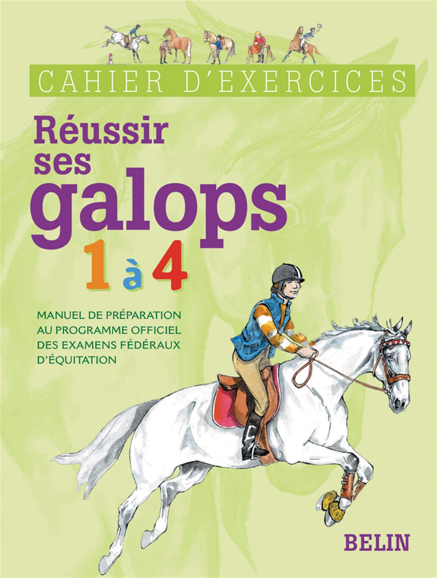 Reussir Ses Galops 1 A 4 Cahier D Exercices Amazon Fr Henry Guillaume Oussedik Marine Livres