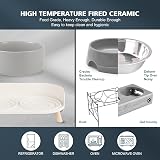 AHX Elevated Dog Food Water Bowl Set Ceramic Double Bowls Grey view 6