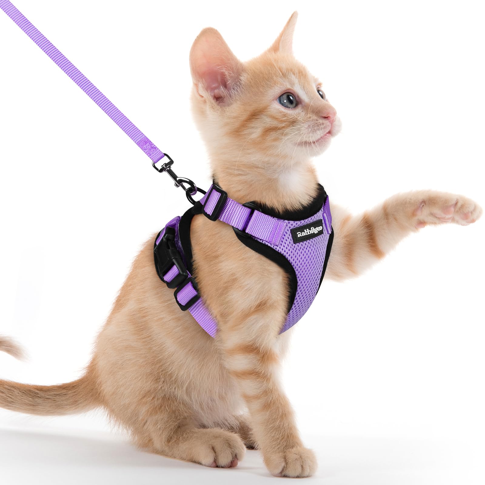 rabbitgoo Cat Harness and Lead Set, Adjustable Escape Proof Cat Lead for Walking, Reflective Kitten Harness Set, Soft and Comfortable for Kittens and Small Cats, Light Purple, XXS